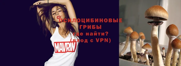 Альфа ПВП Краснослободск