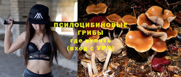 Альфа ПВП Краснослободск