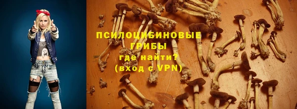 дживик Краснотурьинск