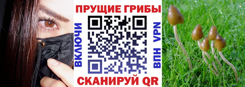 Галлюциногенные грибы мицелий  Купить закладки  Карасук 